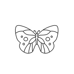 hand drawn butterfly line icon