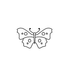 hand drawn butterfly line icon