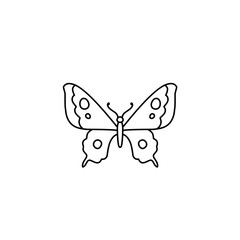 hand drawn butterfly line icon