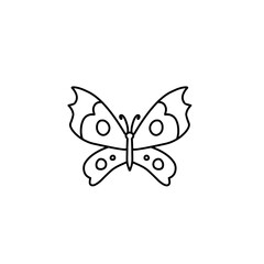 hand drawn butterfly line icon