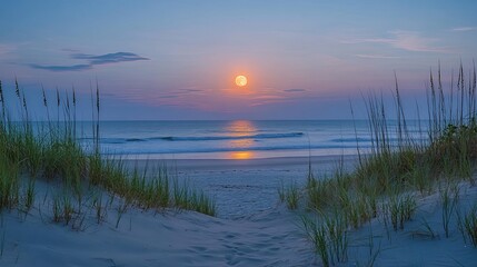 A full moon rising over the ocean with a beach in view, creating a tranquil, celestial scene perfect for nature, travel, or romantic-themed photography