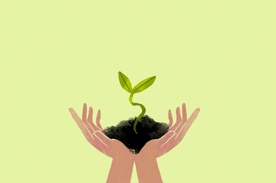 Illustration of hands holding soil with a growing plant symbolizing green energy and ecology