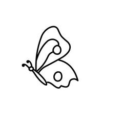 hand drawn butterfly line icon