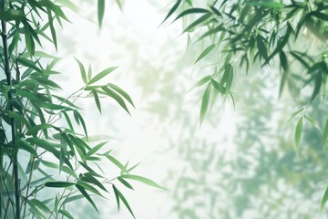 Obraz premium Ethereal Bamboo Forest Canopy with Soft Focus Background and Light, a Serene Nature Scene.