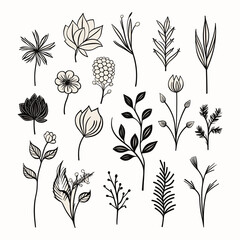 Adobe ilustrator leaf and tree design artwork