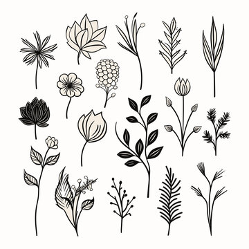Adobe ilustrator leaf and tree design artwork