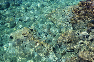 A shallow sea with clear turquoise water revealing stones