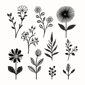 Adobe ilustrator leaf and tree design artwork