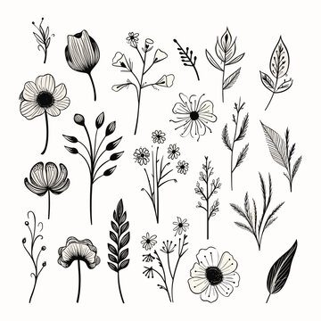 Adobe ilustrator leaf and tree design artwork