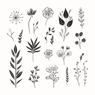 Adobe ilustrator leaf and tree design artwork