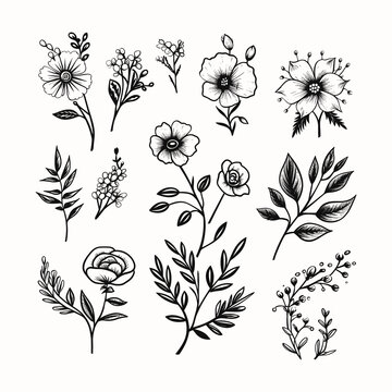 Adobe ilustrator leaf and tree design artwork