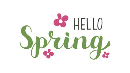 Beautiful Hello Spring hand drawn calligraphy lettering inscription. Handwriting words. Springtime vibes typography with flowers and white background.