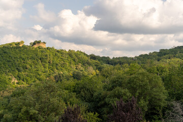 Fototapeta premium A lush green forest with a cloudy sky in the background. The sky is filled with clouds, giving the scene a peaceful and serene atmosphere