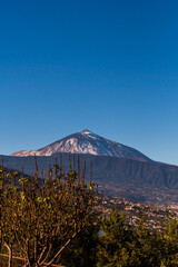 Fototapeta premium Paisaje con el volcán del Teide nevado de fondo.