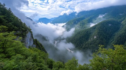 Obraz premium Cloudy forest landscape with a river winding through the scene.