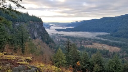Obraz premium Dramatic light breaking through clouds over a foggy forest valley.