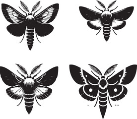 High-Quality Monochrome Vector Silhouettes of the Red-Tipped Moth