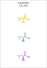 Leucine. Stylized structural formulas. Display of the unspecific-, L- and D-Enantiomer formulas.
