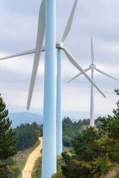 A dirt pathway cutting through an array of wind turbines against a backdrop of hills, symbolizing the integration of nature and technology for clean energy production.