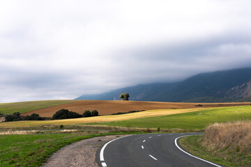 A curving road meanders through a vibrant agricultural landscape, featuring a solitary tree set against a dramatic sky, inviting exploration and introspection.