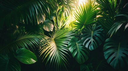 Lush Tropical Foliage with Sunlight Peeking Through, Deep Green Tones.