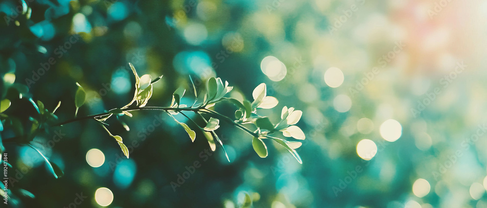 Poster Calming matte backgrounds with subtle color gradients for a serene atmosphere