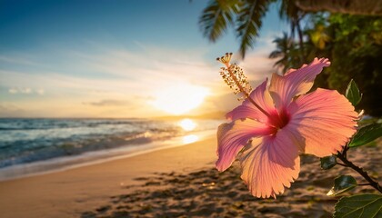 夏の美しい波打ち際の夕焼け空とハイビスカスの花