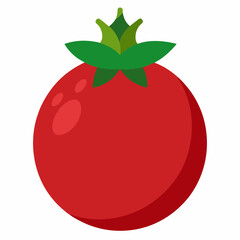 Pomegranate vector on white background