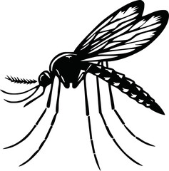 Mosquito silhouette. Aedes aegypti icon. World mosquito day vector