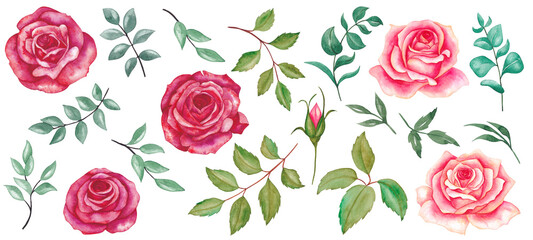 Set of flowers and leaves on a white background. Watercolor illustration.