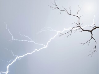 Lightning Bolt and Bare Tree Branch Against Gray Sky