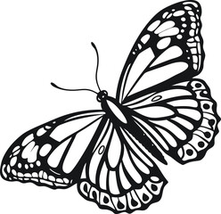 Monarch Butterfly Illustration with Intricate Wing Patterns and High Contrast