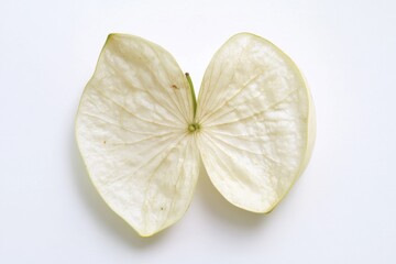Freshly cut apple on a clean white surface