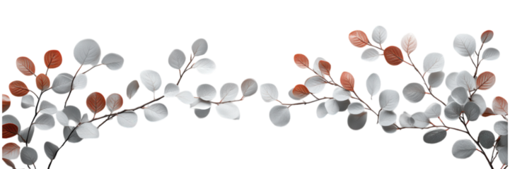 Elegant Grey Coral Eucalyptus Branches Flat Lay White Background