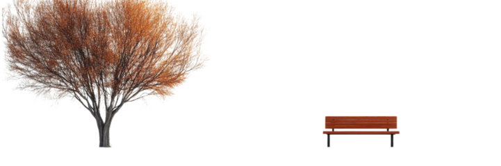 Serene Winter Landscape Lone Bench Tree Snow