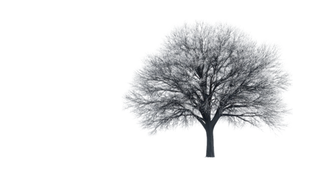 Solitary Winter Tree in Snowy Field Cold Season Landscape - Powered by Adobe