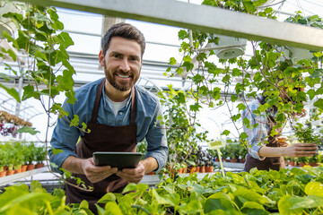 Male bearded greenhouse worker looking involved and busy
