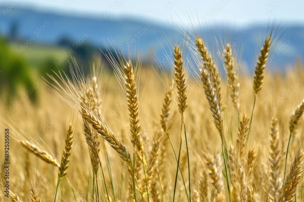 Poster a scenic landscape featuring a vast wheat field with mountains in the distance