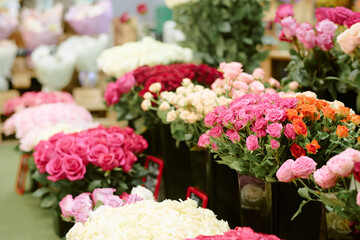 Medium close up of different types of multicolored roses in buckets