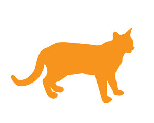 Cat yellow silhouette vector illustration on white background