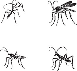 High-Quality Monochrome Vector Silhouettes of the Stick Bug Isolated on a White Background