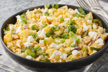 Tasty Mexican Corn Potato Salad with the addition of pickled jalapenos, boiled eggs, onions and cotija cheese closeup on the plate on the table. Horizontal