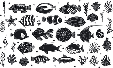 underwater sea ocean life tropical fish and corals collection in black and white colors, aquatic natical coastal marine  design set
