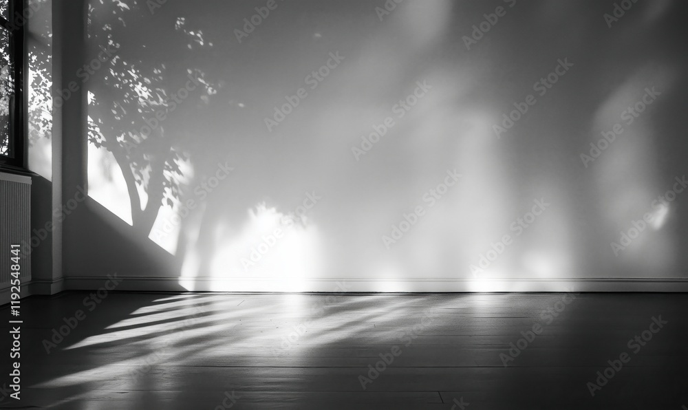 Poster shadows on wall from window light creating artistic patterns in empty room