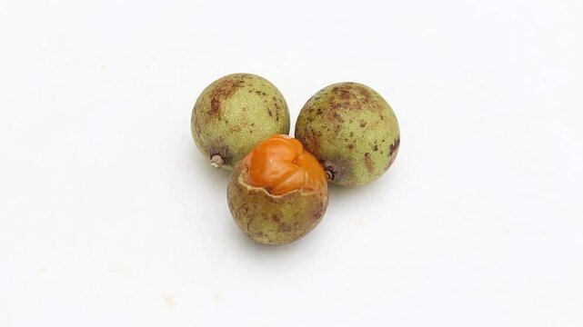 Schleichera Oleosa or Kusum Fruit Isolated on White Background