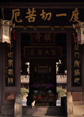 A cat stands on the threshold of Kaiyuan Temple in Chaozhou, China
