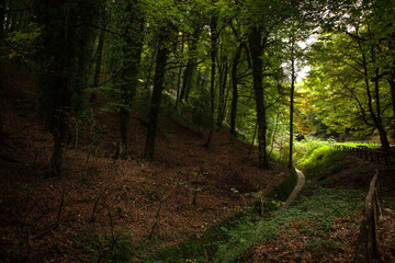 Gargano is a National Park in the Apulia region of Italy. Gargano is partially covered by the...