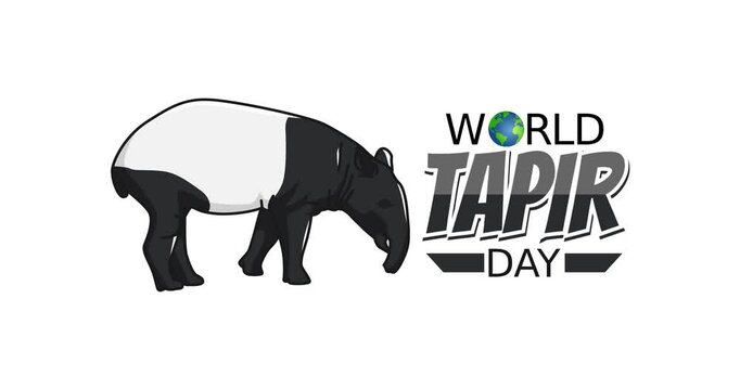 world tapir day motion video, ideal for world tapir day celebration