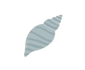 The shell is drawn in a flat style. Sea, coast, beach. Hand drawn vector illustration.