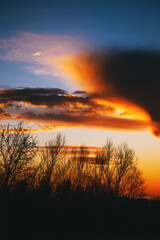 Winter sunset landscape, back lit bare trees and strange cloud at the sky